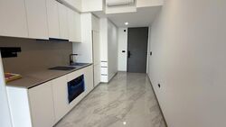 The Landmark (D3), Condominium #555192221